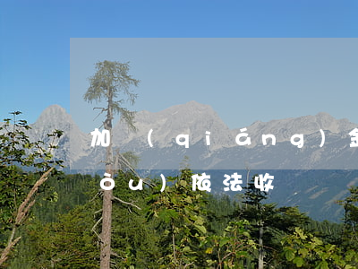加強(qiáng)金融機(jī)構(gòu)依法收貸、清收不良資產(chǎn)的法律指導(dǎo)意見